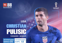 Christian-Pulisic