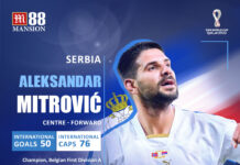 Aleksandar_Mitrovic
