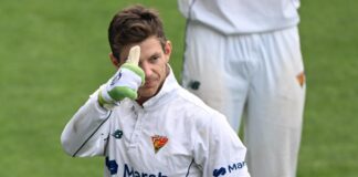 Tim Paine retire from all level of Cricket